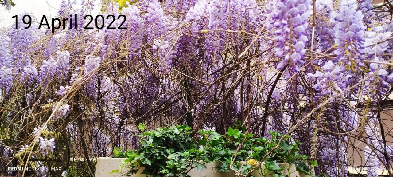 Garden House - Luxury Guest House - Overnight Stay Only Roma Exterior foto
